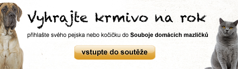 Souboj mazlíčků na Lidovky.cz
