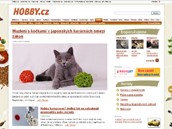 N�hled str�nky